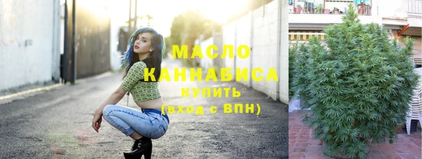 сатива Михайловка