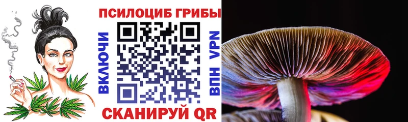 MEGA ТОР  Фатеж  Псилоцибиновые грибы Psilocybe 